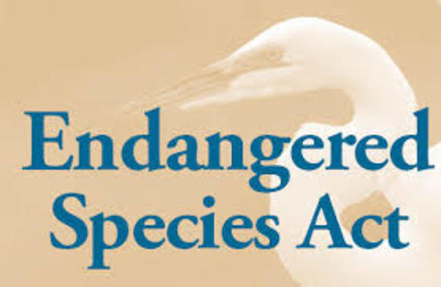 Endangered Species Act