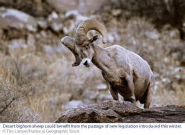 Desert Protection Act