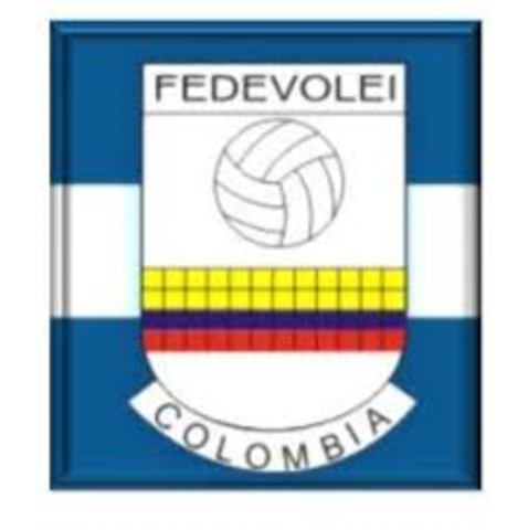 federacion del voleibol