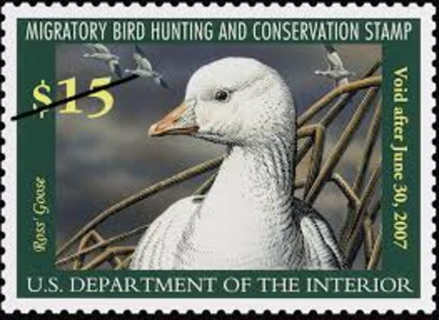Migratory Bird Hunting Stamp Act
