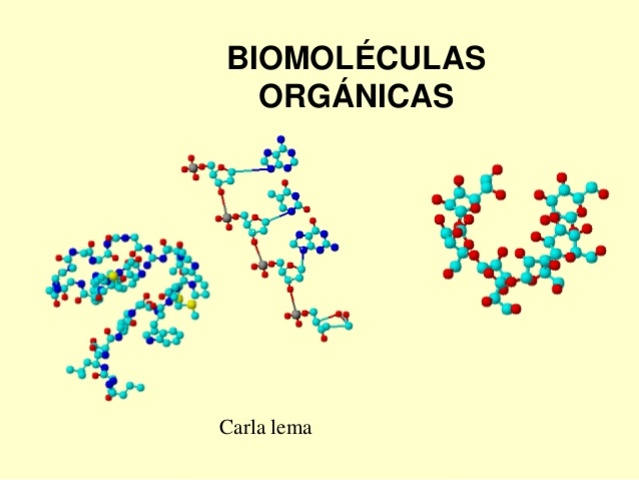 Biomoleculas