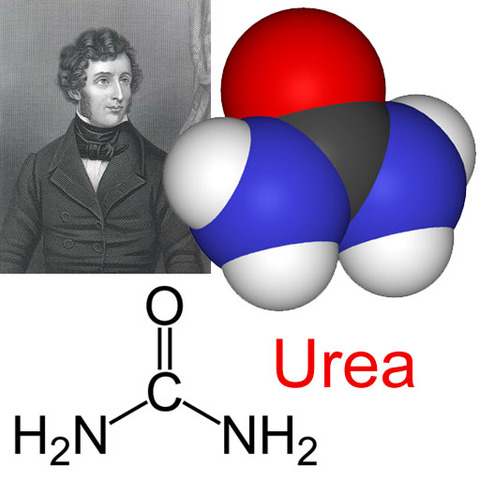 sintesis de urea