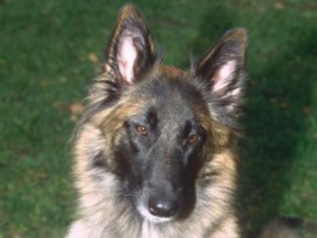 Eastenders%u2019 Wellard calls it a day