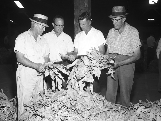 Tobacco and Texiles fuel the economy