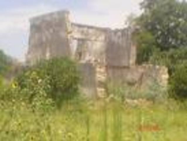 Spanish Gen. Alonso de León's