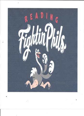 cub scout go to reading  fiting phills