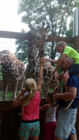 Day at Living Treasures