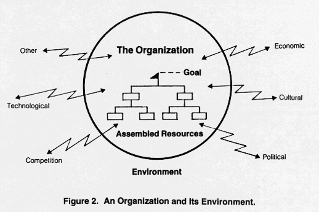 Organizational Environment Theory