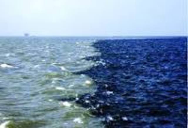 Gulf of Mexico Dead Zone