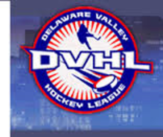 I made the DVHL as ice hockey goalie!