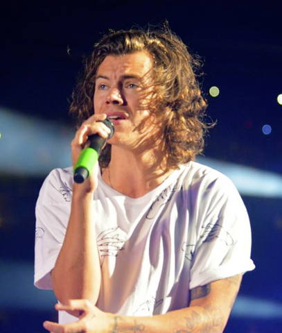 One Direction Concert