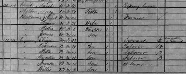 1880 Census with Eliza
