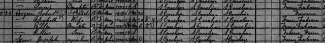 1900 Census with Eliza and son Pettus