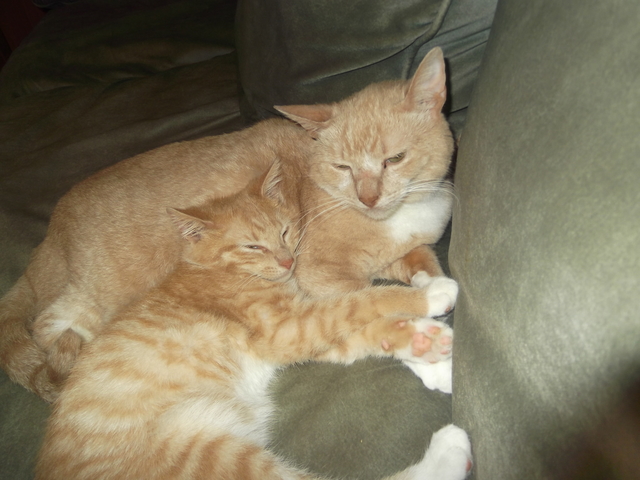 When I got Brice and Dale