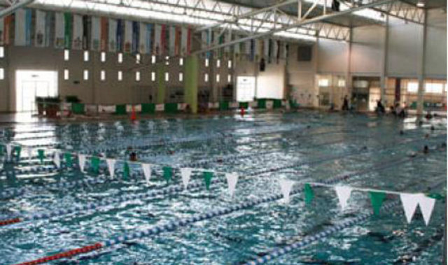 Copa gobernador natación