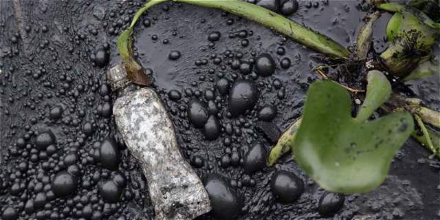 decreto con permiso para matar