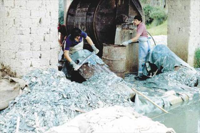 aparicion de curtiembres