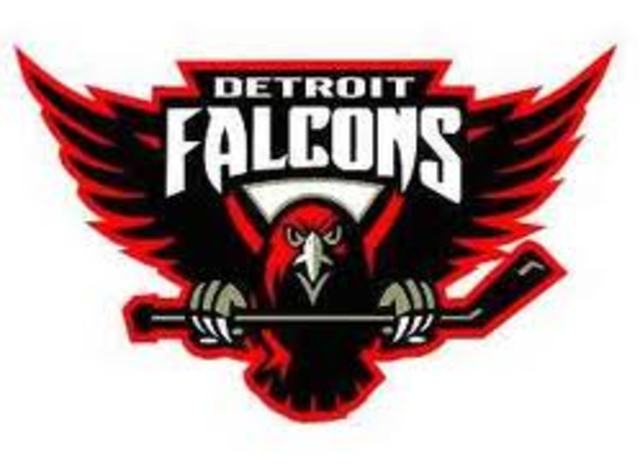 detroit cougars become detroit falcons