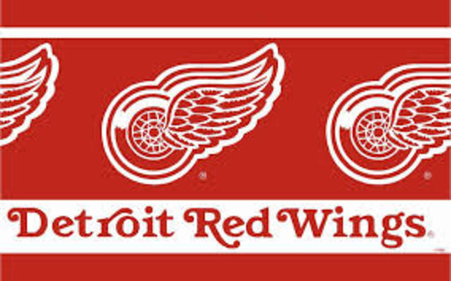Detroit falcons become detroit red wings