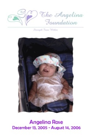 Angelina Foundation is Created