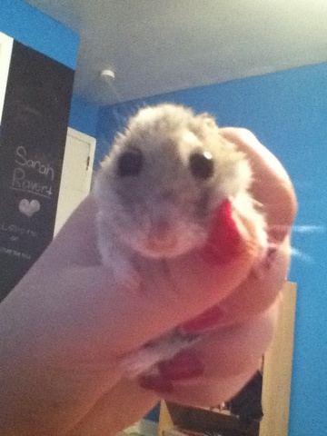 Selena Gomez Concert