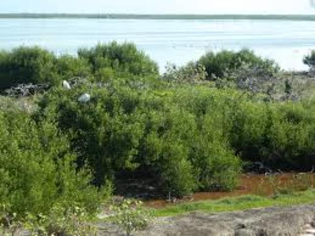 se celebra la Conferencia Mundial del Turismo Sostenible