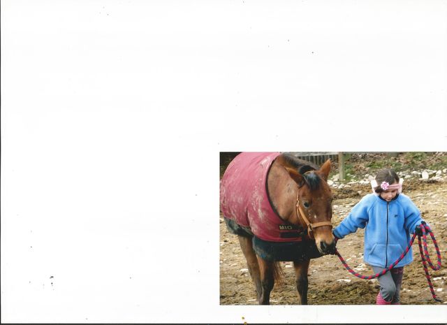 My first Riding lesson