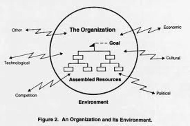 Organizational Environment Theory
