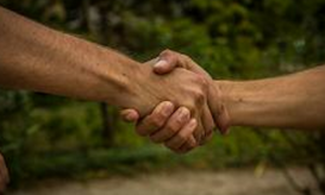 I met my first neighbors