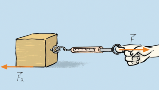 Primeros estudios científicos