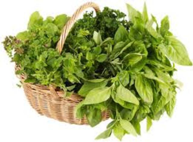 Medievail Herbal Treatments