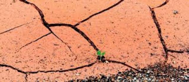 Aumento del Fenomeno del Niño