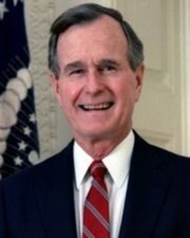 US Congress gives George Bush authority to wage war against Iraq