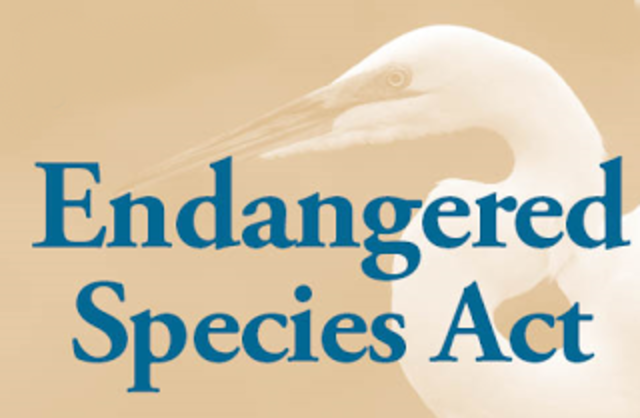Endagnered Species Act