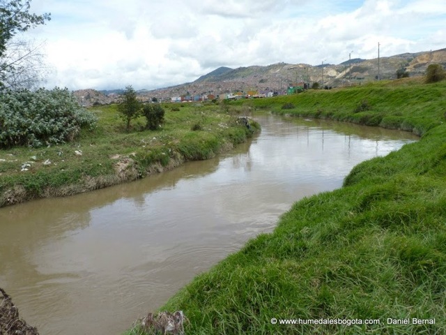 Libélula-Luciérnaga: el nuevo humedal que nace en el río Tunjuelo