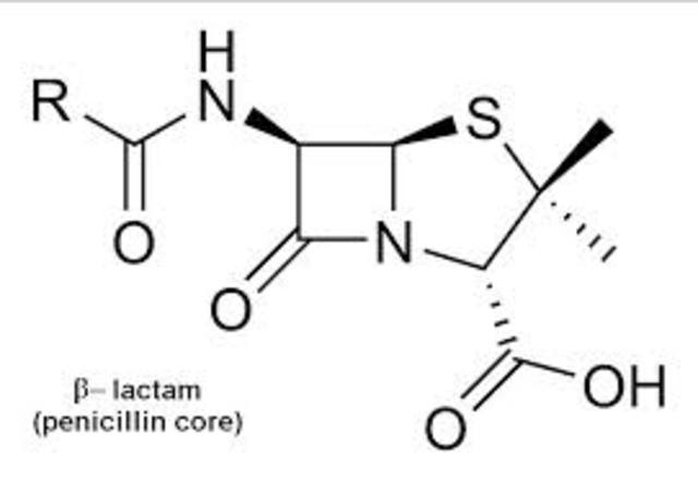 Alexander Fleming discovers penicillin