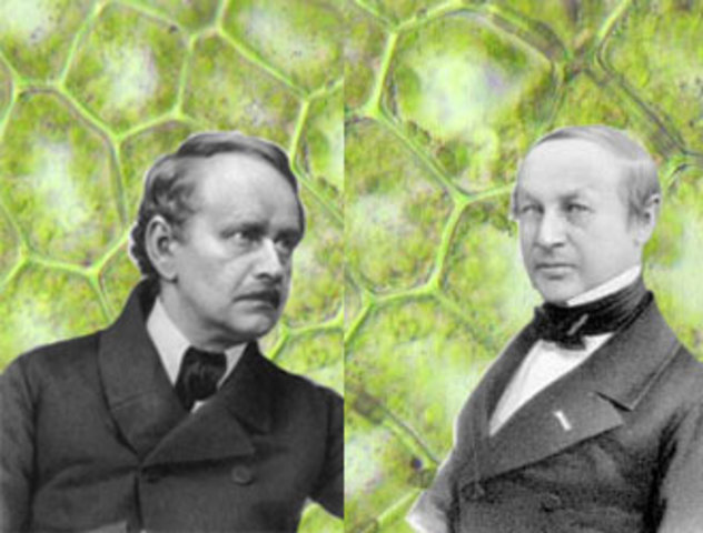 T.Schwann and M.Schleiden