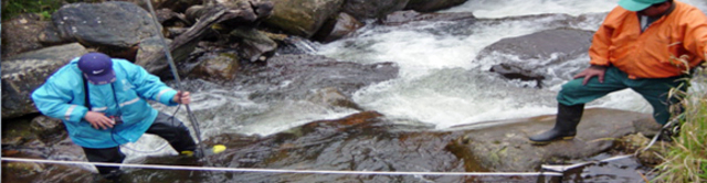 ESTUDIO FINANCIADO POR EL ACUEDUCTO