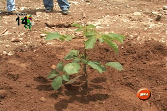 COMPRA DE PARAMOS Y CERROS CIRCUNVECINOS