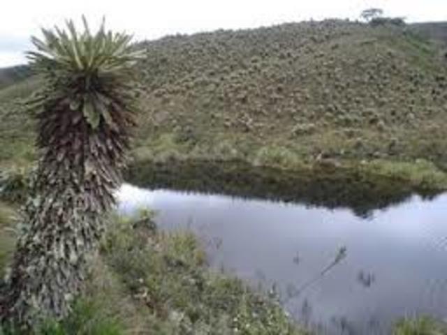 ADQUISISION DE CUENCAS