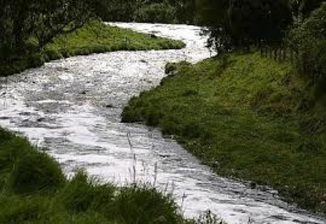 propuesta interesante