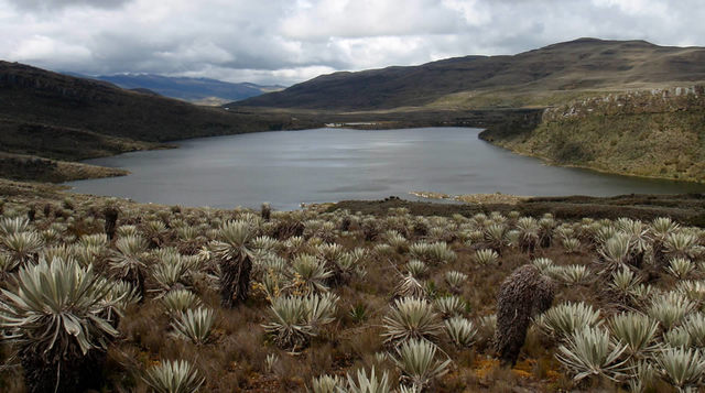 Parque natural Nacional sumapaz