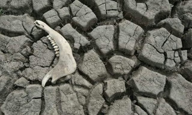 COSTO DEGRADACIÓN DEL SUELO