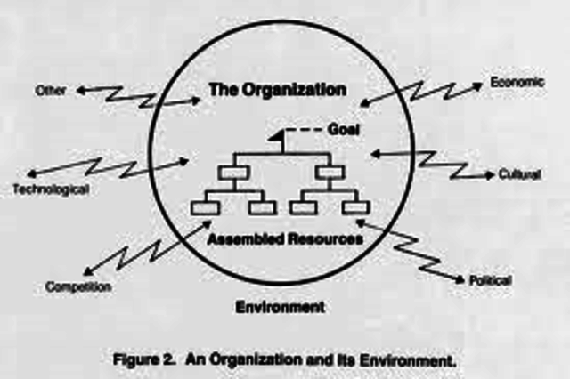 Organizational Environment Theory
