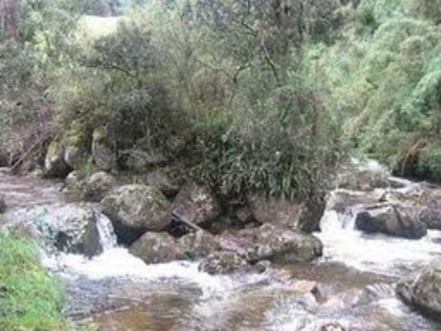 INTERVENCION DEL CAUCE