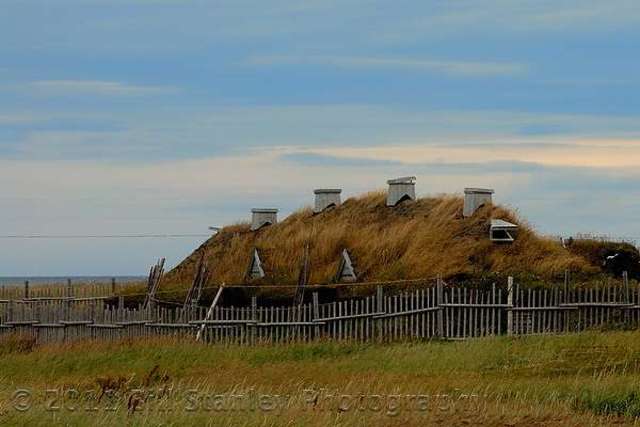 Vikings Land in Newfoundland