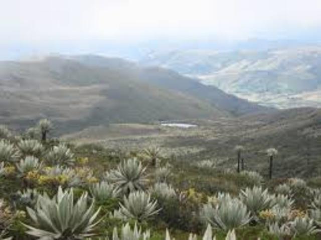 RECUPERACION DE LOS CERROS ORIENTALES