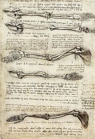 First Anatomical Studies