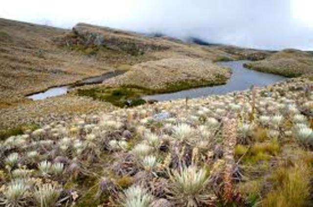 PARAMO DE SUMAPAZ