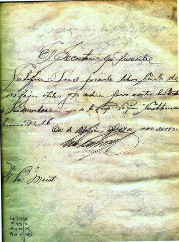 Lineamientos Constitucionales